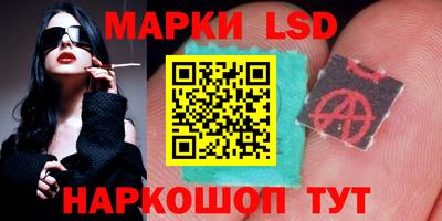гидропоника Дубна