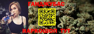 гидропоника Дубна
