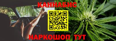 гидропоника Дубна