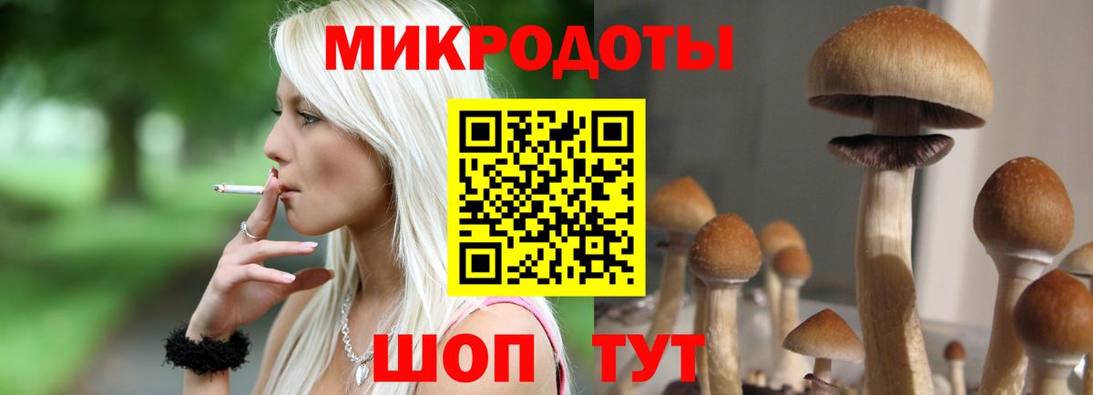 Галлюциногенные грибы MAGIC MUSHROOMS Костомукша